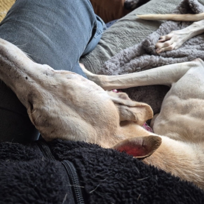 PHOTO-2025-11-22-13-35-38 8