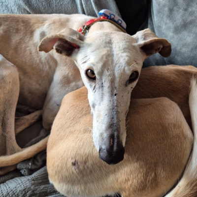 PHOTO-2025-11-22-13-35-39 3