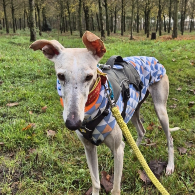 PHOTO-2025-11-22-13-35-39 4