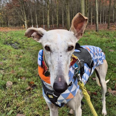 PHOTO-2025-11-22-13-35-39 5