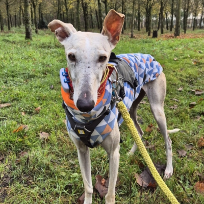 PHOTO-2025-11-22-13-35-39 7