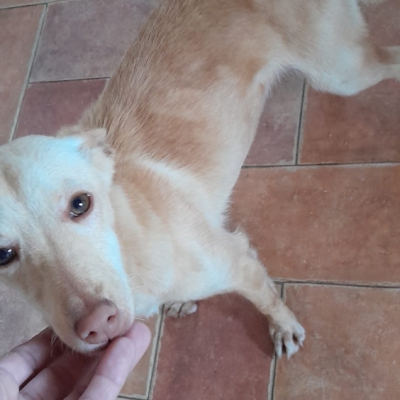 PHOTO-2025-11-26-15-31-40 2