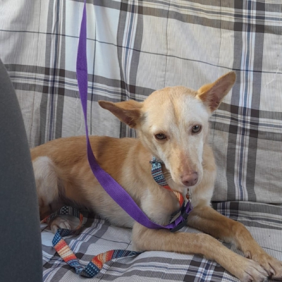 PHOTO-2025-11-26-15-31-41 12