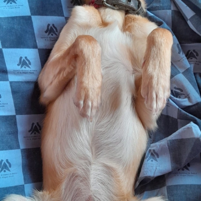 PHOTO-2025-11-26-15-31-41 13