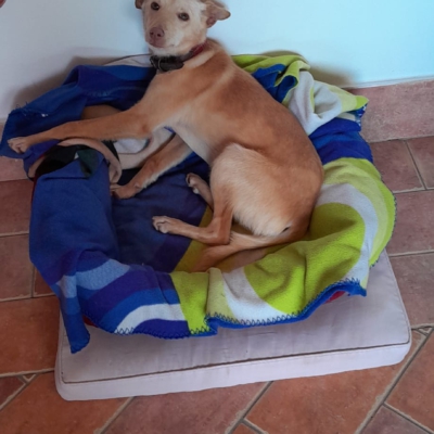 PHOTO-2025-11-26-15-31-41 14