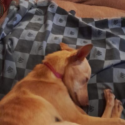 PHOTO-2025-11-26-15-31-41 15