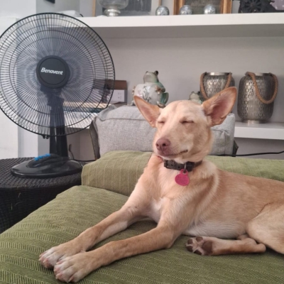 PHOTO-2025-11-26-15-31-41 16