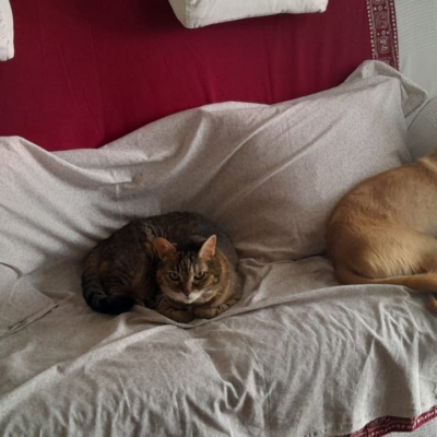 PHOTO-2025-11-26-15-31-41 17