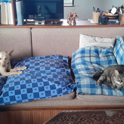 PHOTO-2025-11-26-15-31-41 18