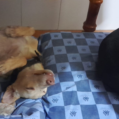 PHOTO-2025-11-26-15-31-41 19