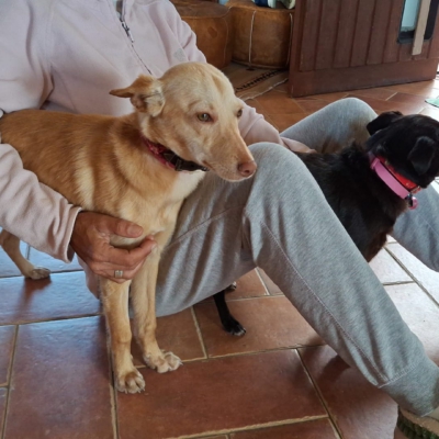 PHOTO-2025-11-26-15-31-41 20