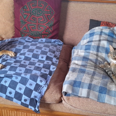 PHOTO-2025-11-26-15-31-41 21