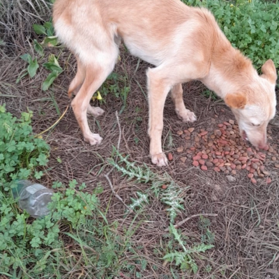 PHOTO-2025-11-26-15-31-41 22