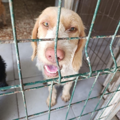 PHOTO-2025-11-28-08-10-02 2