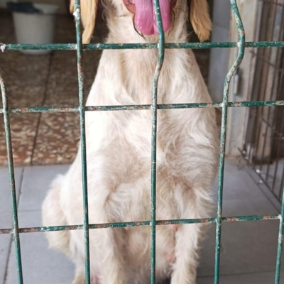 PHOTO-2025-11-28-08-10-02 3