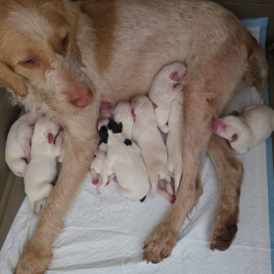 PHOTO-2025-11-28-08-10-02 4