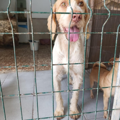 PHOTO-2025-11-28-08-10-02