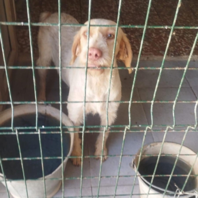 PHOTO-2025-11-28-08-10-02 5