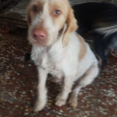 PHOTO-2025-11-28-08-10-02 6