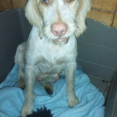 PHOTO-2025-11-28-08-10-02 7