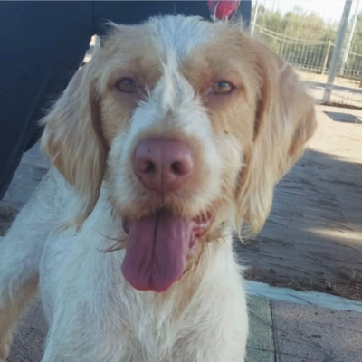 PHOTO-2025-11-28-08-12-47 2