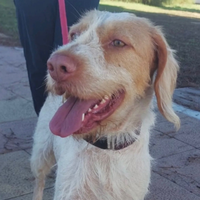 PHOTO-2025-11-28-08-12-47 3