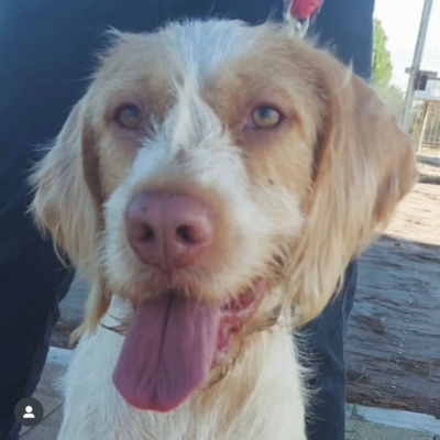 PHOTO-2025-11-28-08-12-47 4