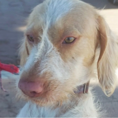 PHOTO-2025-11-28-08-12-47