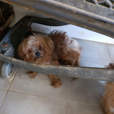 PHOTO-2025-11-28-15-09-44 2