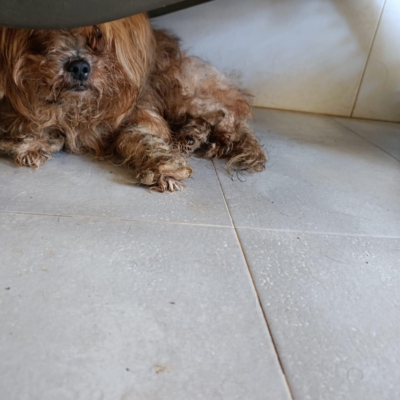 PHOTO-2025-11-28-15-09-44 3