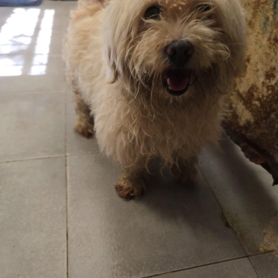 PHOTO-2025-11-28-15-09-44 4