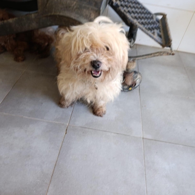 PHOTO-2025-11-28-15-09-44