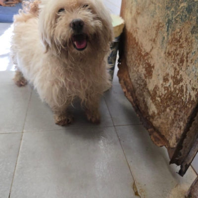 PHOTO-2025-11-28-15-09-44 5