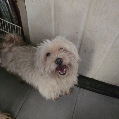 PHOTO-2025-11-28-15-09-44 6