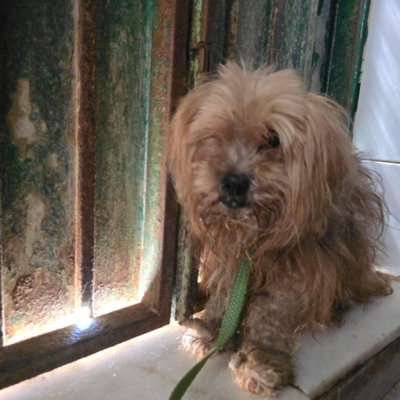 PHOTO-2025-11-28-15-09-45 2