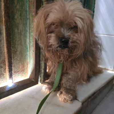 PHOTO-2025-11-28-15-09-45 3