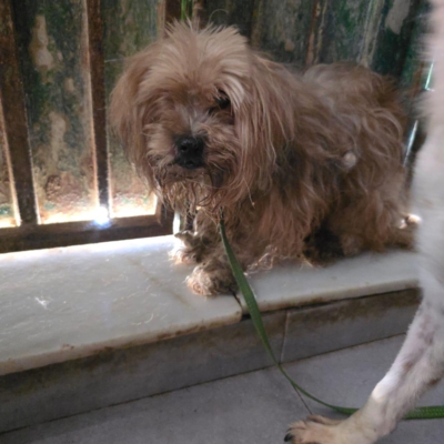 PHOTO-2025-11-28-15-09-45