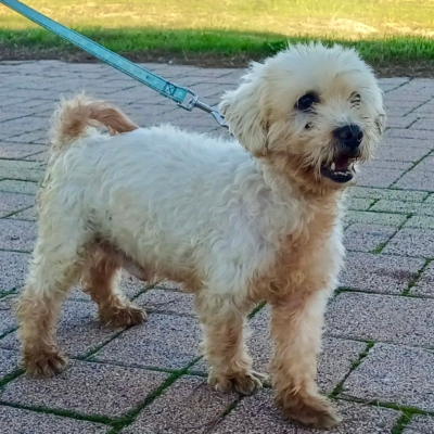 PHOTO-2025-11-28-15-12-07 10