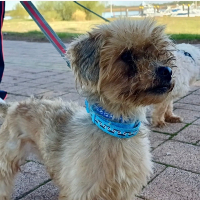 PHOTO-2025-11-28-15-12-07 2