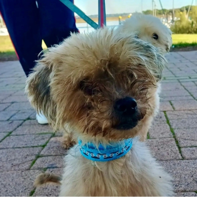 PHOTO-2025-11-28-15-12-07 3