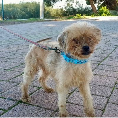 PHOTO-2025-11-28-15-12-07 4