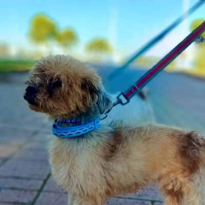 PHOTO-2025-11-28-15-12-07 5