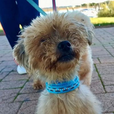 PHOTO-2025-11-28-15-12-07 6