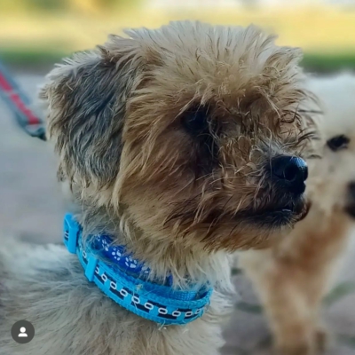 PHOTO-2025-11-28-15-12-07 7