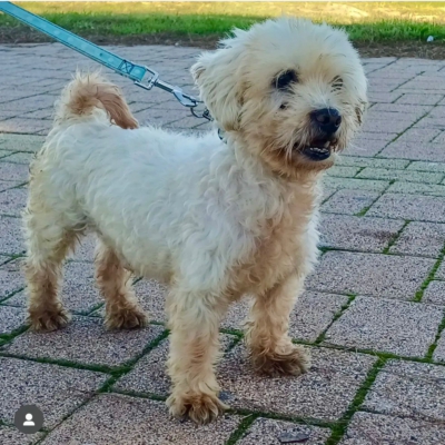 PHOTO-2025-11-28-15-12-07 8