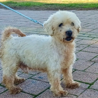 PHOTO-2025-11-28-15-12-07 9