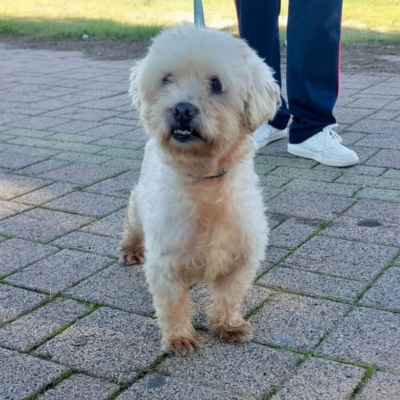 PHOTO-2025-11-28-15-12-08 2