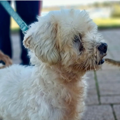 PHOTO-2025-11-28-15-12-08 3