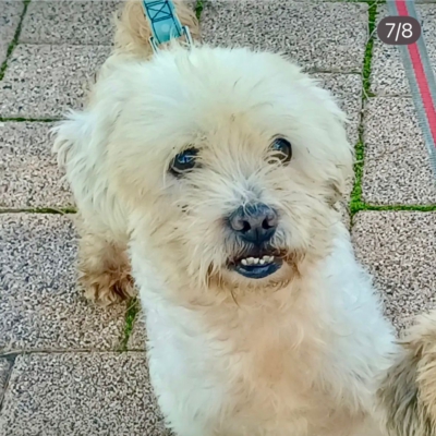 PHOTO-2025-11-28-15-12-08 4