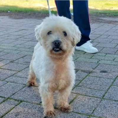 PHOTO-2025-11-28-15-12-08